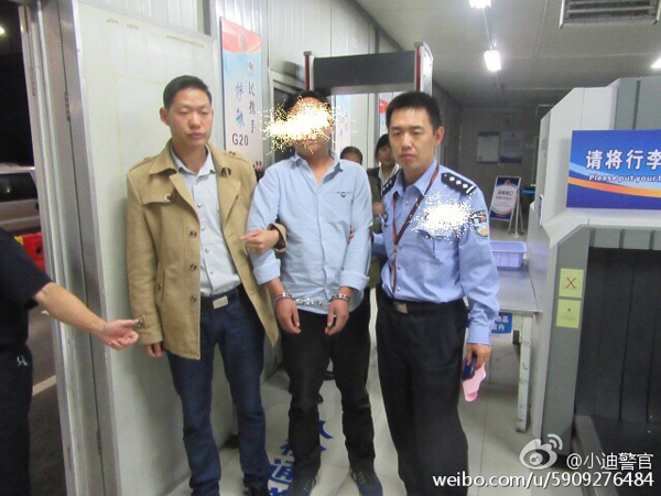 上海迪士尼频遭“采花大盗”,一对夫妻割三百斤黄金菊被刑拘