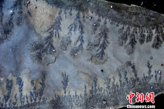 图为条纹状般有序排列、颜色两头深中间浅的“岩画”。 陈碧生 摄