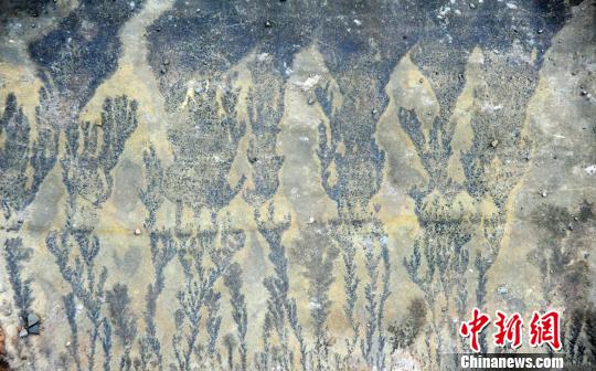 图为酉阳发现疑似天然“岩画”。 陈碧生 摄
