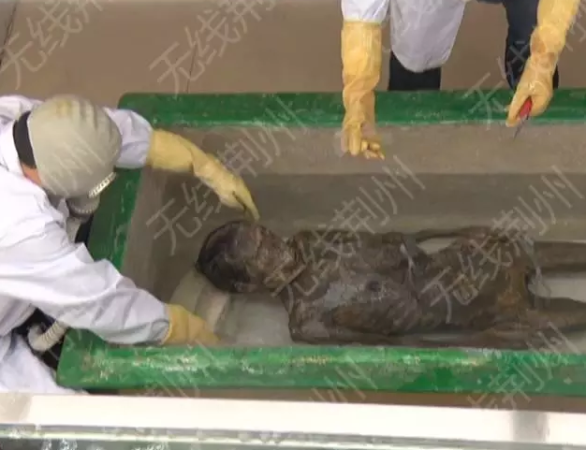 湖北古墓现500年前女尸 头发眉毛清晰可见