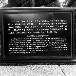 北京晨报现场新闻(记者 张静雅)昨日有网友发微博称，北京植物园里的曹雪芹纪念馆门前的说明牌上将曹雪芹的拼音拼错了，曹的汉语拼音“cao”拼成了“cai”，曹雪芹成了“蔡雪芹”。对此，北京植物园工作人员表示会尽快核实后处理。